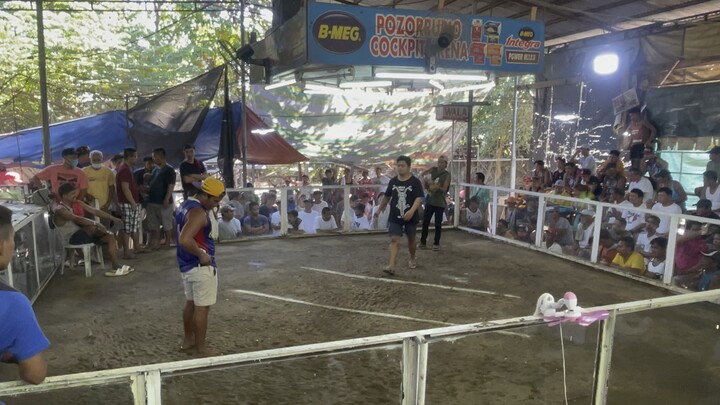 Hatch 2x Winner (Loss) February 7,2024