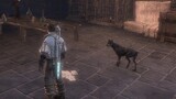 Fable 3 - Animal Liberation Release the Chickens
