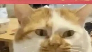 Keadaan mental memimpin internet