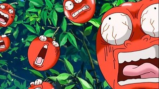 Apel jenis ini telah mengalami banyak kesulitan sejak kelahirannya, tetapi ini adalah apel teratas, 