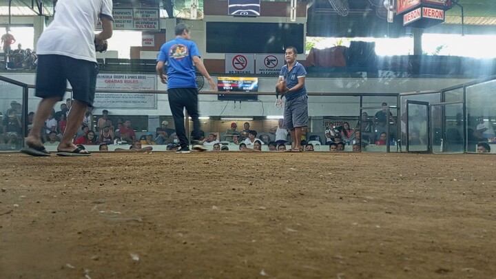 Golden Boy Sweater( Fantastic Ella Line)