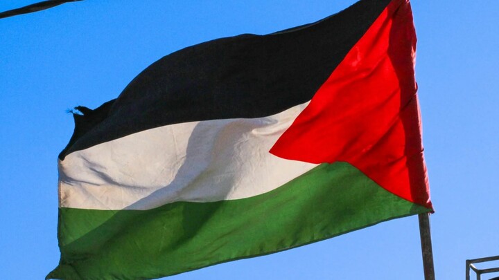 Carta de 102 ex diplomatas franceses e britânicos contra limpeza étnica na Palestina - Luiz Portinho