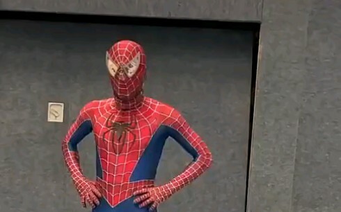 Spider-Man vs. Wonder Woman