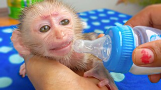 Wow, Super Smart Boy Luca Tries To Refuse Drink Milk With New Bottle, Cuz It's Too Big