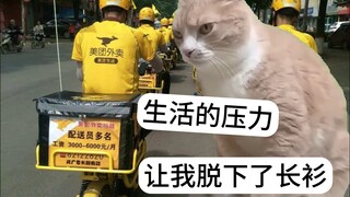 当我被降薪辞退之后