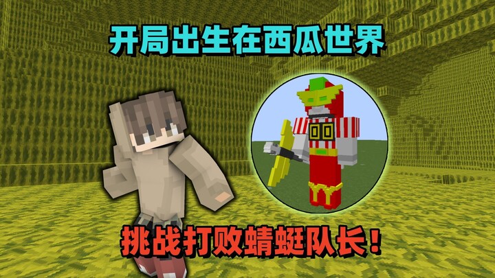 Minecraft: Spawn in a Watermelon World—Can You Defeat Captain Dragonfly?