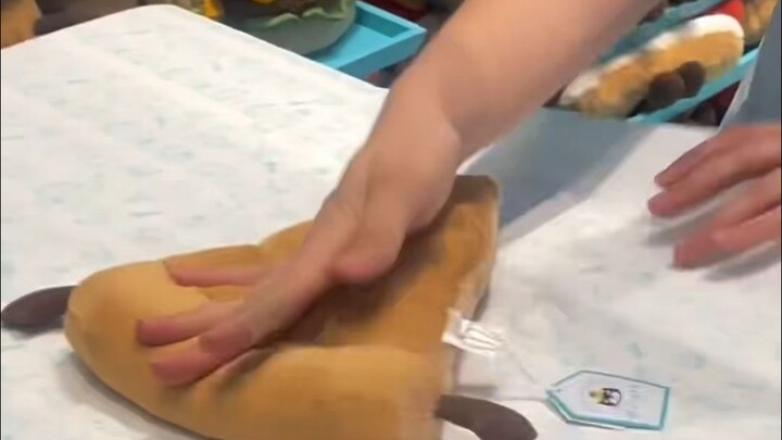 พี่เจลลีแคตถ่ายคลิปจนพิซซ่ามึนไปเลย!