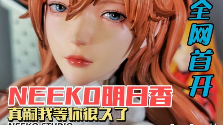 My friend exclaimed, "Wow, Asuka" has arrived today! First time online! Would you like to be her Ika