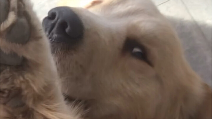 During the Chinese New Year, I established a deep revolutionary friendship with my grandmother