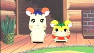 แฮมทาโร่ แก๊งจิ๋วผจญภัย ปี4 ตอนที่ 22