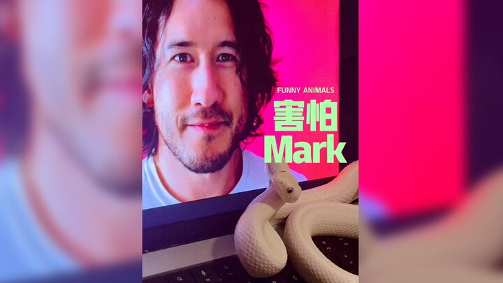 มาร์คิพลายเออร์รู้มั้ยว่ามีงูตัวหนึ่งที่ดูจะเป็นศัตรูกับคุณสุดๆ⁉️