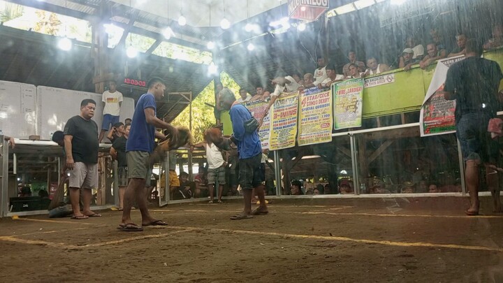 Fight #2 draw😔😔