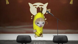 Banana Cat berpartisipasi dalam kompetisi menyanyi kampus