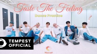 乐华新男团TEMPEST《Taste The Feeling》练习室公开！