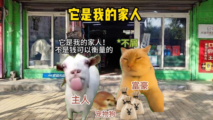 它是我的家人