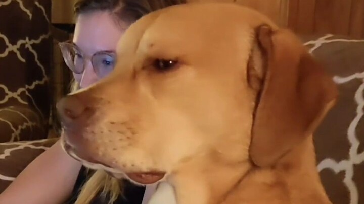 Bosses, when are you going to sleep? I feel like I might not be able to hold on much longer!