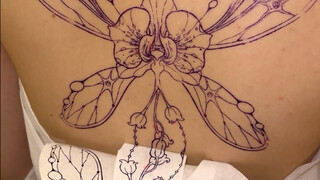 عملية ولادة مجموعة من الأجنحة (رائعة للغاية!)