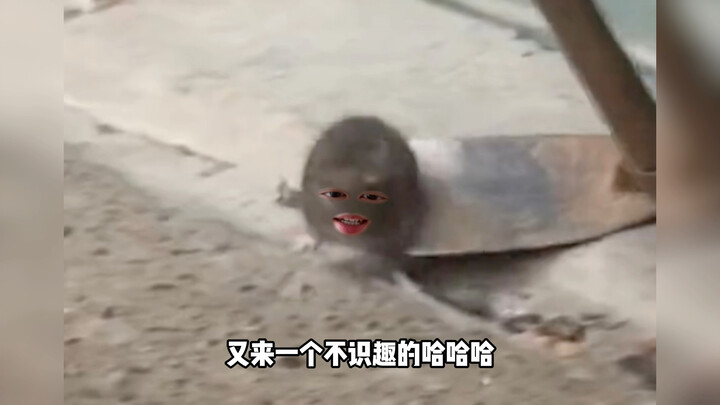 โอเค โอเค แค่นั้นแหละ ใช่ไหม?