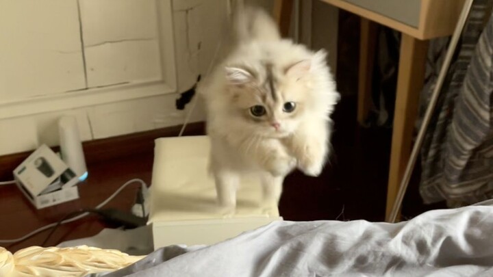 Alright, in less than 5 days both of these teeth have fallen out!