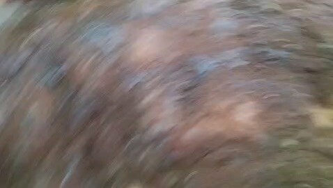 Dangdutan spesial 17-agustus