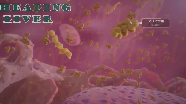 Stimulating Cellular Detox Liver