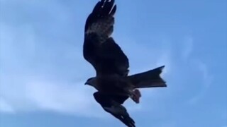 เยิงเจียง: ขอบคุณของขวัญจากธรรมชาติ