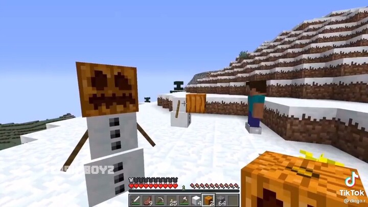 hi guys im nico and this im my pirst vlog i think but ist tiktok? pls like it ty