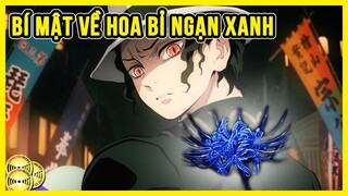 Muzan & Bí Mật Về Loài Hoa Bỉ Ngạn Xanh | Kimetsu No Yaiba