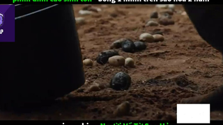 Người về từ sao hỏa (p1) #rvphimkhoahoc