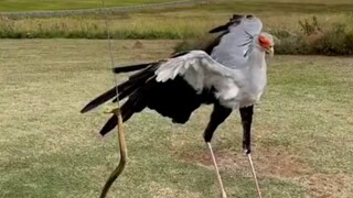 فتاة عنيفة وعصبية