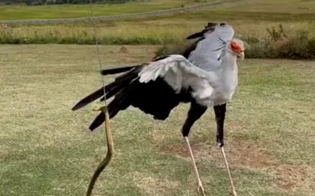 فتاة عنيفة وعصبية