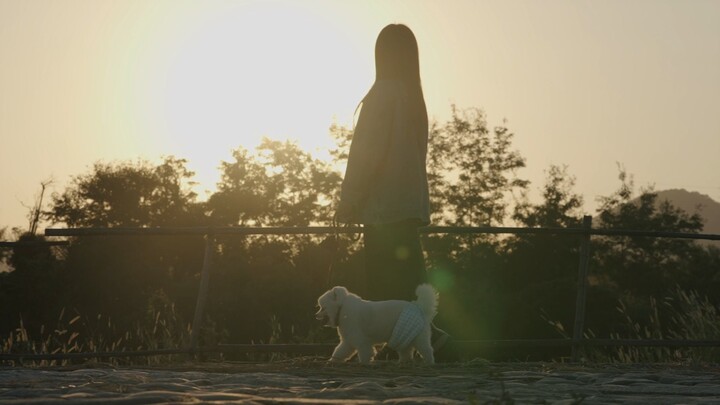 Chúng ta tô vẽ, sửa đổi tuổi thơ, đến mực cũng có thể hóa thành cầu vồng.