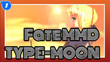 [Fate MMD] Ballet / TYPE-MOON All Characters_1