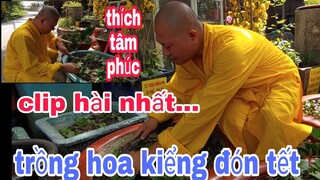 🔴"Thích Tâm Phúc" clip hài ngủ không được đi trồng hoa kiểng