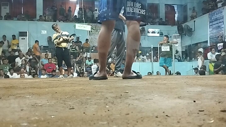 WIN! @SMCA 08/09/25 TALISAY PUTI PAA MAGULANG KONTRA TALISAY DILAW PAA STAG