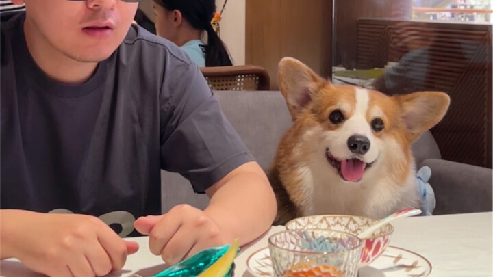 Hehe, thanks to every restaurant that lets you bring your dog to eat!