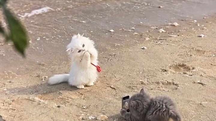 Is that you, girlees?