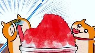 【第225集】来自爆暴仓鼠的温馨小提示：吃冰的时候不可太急太快啾