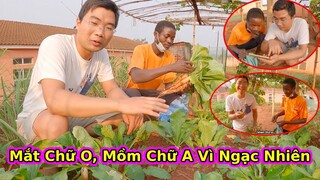 Anh Chàng Châu Phi Ngạc nhiên Khi thăm Vườn Rau củ Việt Nam||2Q VLogs Cuộc Sống Châu