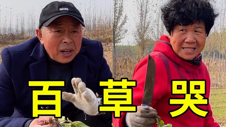 [Nhật ký ngỗng] 04: Đào rau trên mộ, không một ngọn cỏ nào mọc!