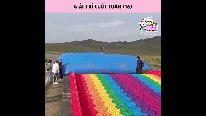 Giải trí cuối tuần (Phần 16) | Ổ nhỏ của Hoài