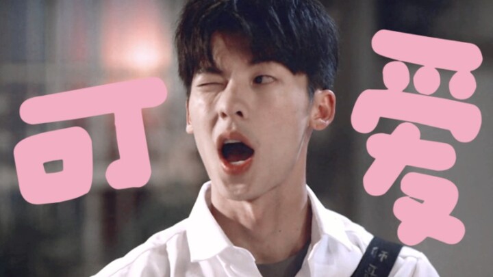 Hilarious—this drama’s male lead has such an expressive face, haha!! What kind of sweet-and-silly tr