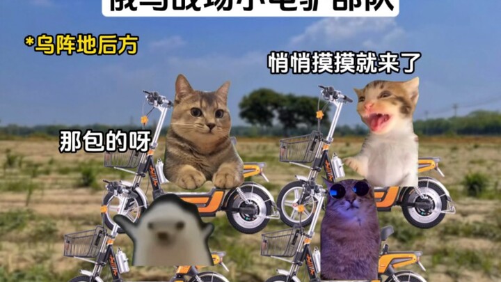 Xiaodianlv: Khi ở ngoài, hãy gọi tôi là “phương tiện cơ giới tấn công hạng nhẹ”!