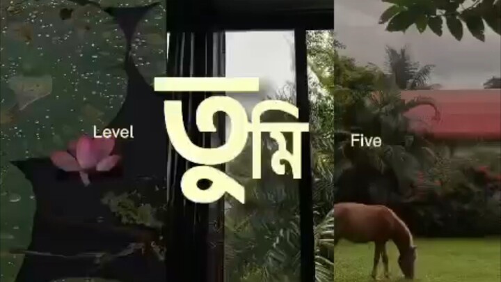 আলো জ্বলে,,, আলো জ্বলে ☺️