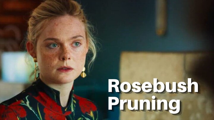 🎬 Rosebush Pruning (2026)