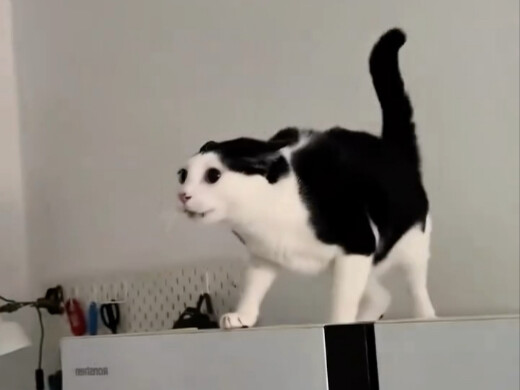 ？？？