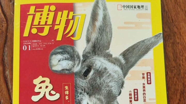 العدد الأول من مجلة “مو بو” لعام الأرنب: لنفهم معًا كل شيء عن الأرانب أولًا!