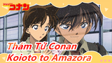 [Thám Tử Conan] Những điều đẹp đẽ bé nhỏ - 'Koioto to Amazora'