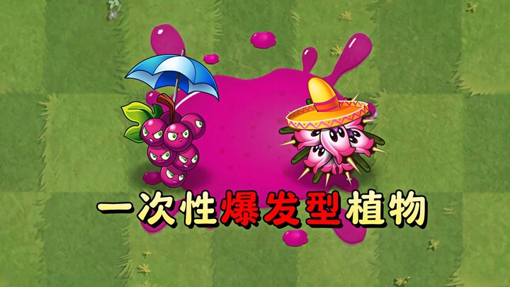 One-shot burst plants: up to tier 3—so which one is truly superior?