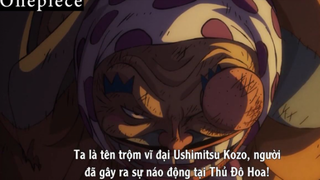 Ushimitsu Kozo người dùng của Wano #Onepiece